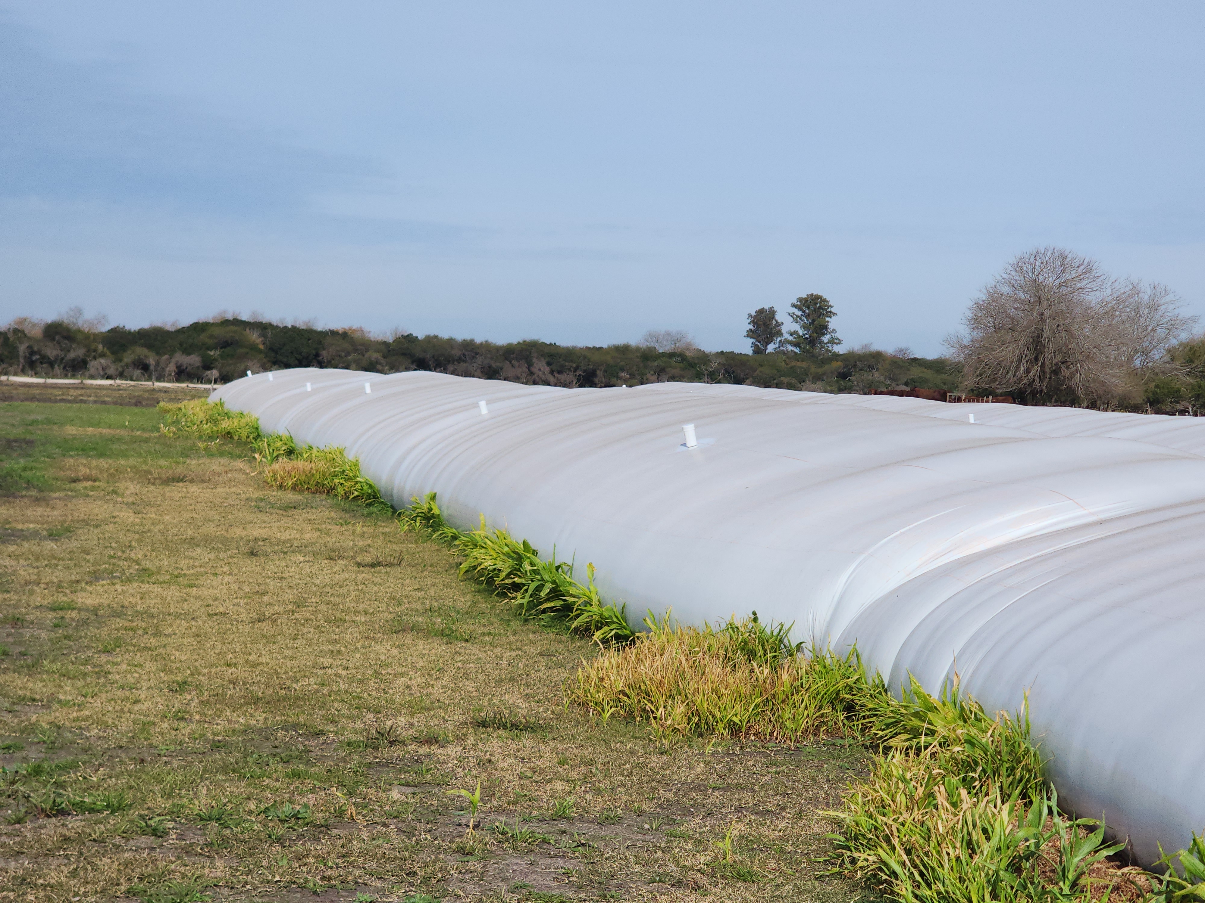 Row of silobags with sensor vents in daylight